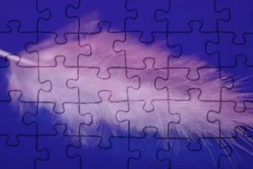 MARSU jigsaw puzzle