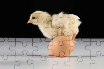 MARSU jigsaw puzzle