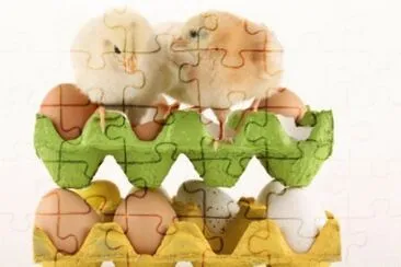 MARSU jigsaw puzzle