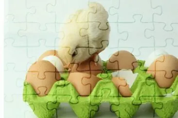 MARSU jigsaw puzzle