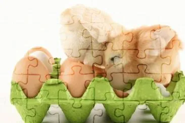 MARSU jigsaw puzzle