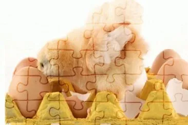 MARSU jigsaw puzzle