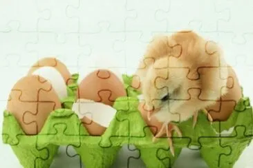 MARSU jigsaw puzzle