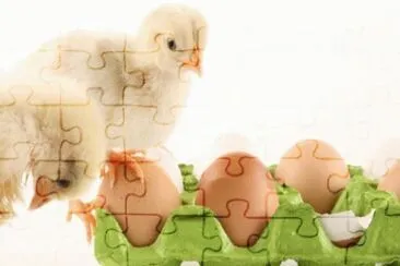MARSU jigsaw puzzle
