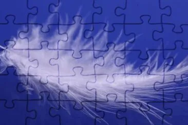 MARSU jigsaw puzzle