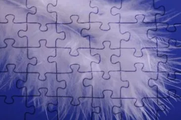 MARSU jigsaw puzzle