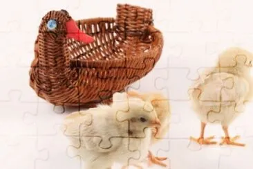 MARSU jigsaw puzzle
