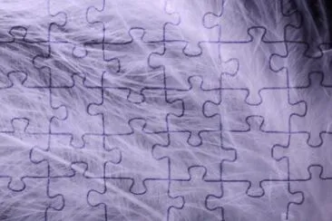 MARSU jigsaw puzzle