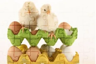 MARSU jigsaw puzzle