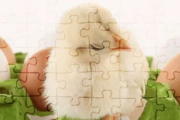 MARSU jigsaw puzzle