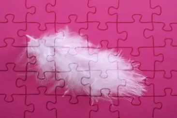 MARSU jigsaw puzzle
