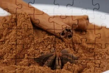 MARSU jigsaw puzzle