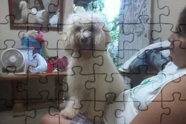 RIN-CHAN jigsaw puzzle