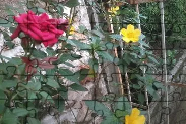 ROJO Y AMARILLO