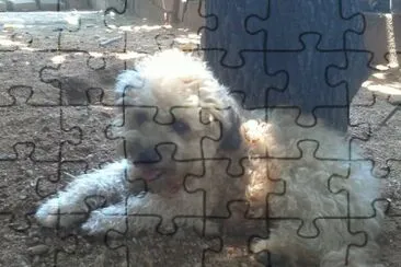 BOLITA jigsaw puzzle