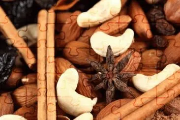 MARSU jigsaw puzzle