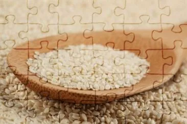 MARSU jigsaw puzzle