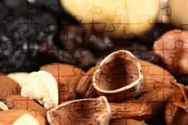 MARSU jigsaw puzzle