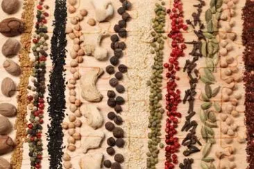 MARSU jigsaw puzzle