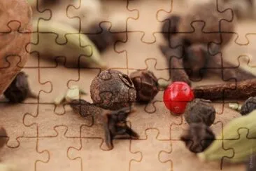 MARSU jigsaw puzzle