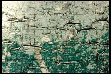 MARSU jigsaw puzzle