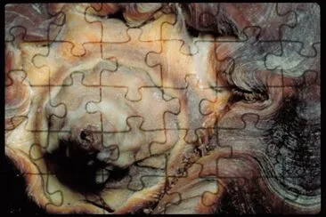 MARSU jigsaw puzzle