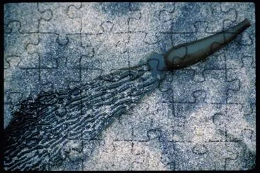 MARSU jigsaw puzzle