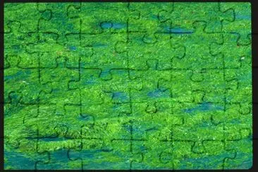 MARSU jigsaw puzzle