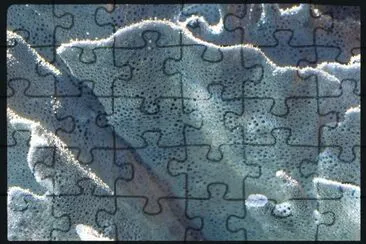 MARSU jigsaw puzzle