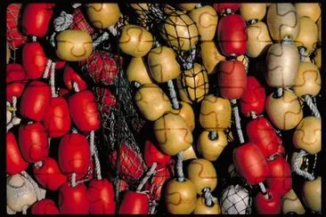 MARSU jigsaw puzzle