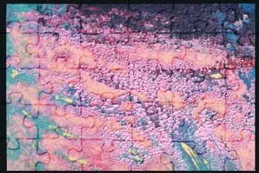 MARSU jigsaw puzzle