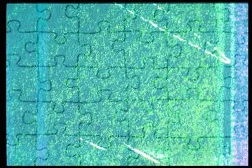 MARSU jigsaw puzzle
