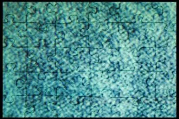 MARSU jigsaw puzzle