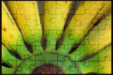 MARSU jigsaw puzzle