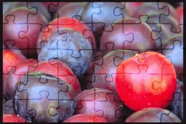 MARSU jigsaw puzzle
