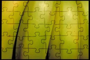 MARSU jigsaw puzzle