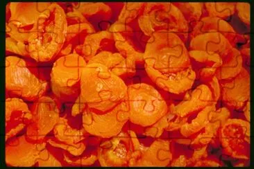 MARSU jigsaw puzzle