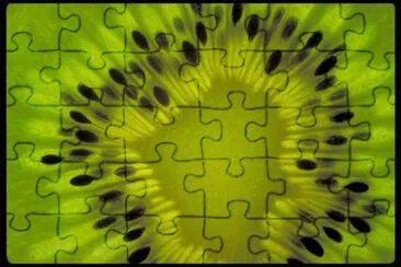 MARSU jigsaw puzzle