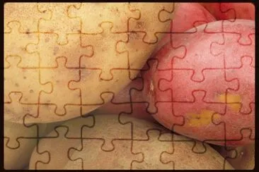 MARSU jigsaw puzzle