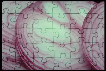 MARSU jigsaw puzzle