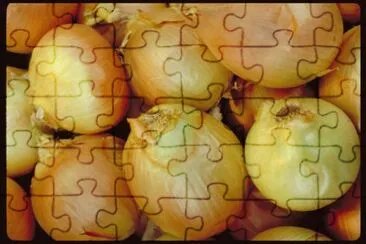 MARSU jigsaw puzzle