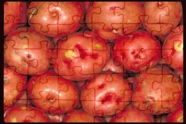 MARSU jigsaw puzzle