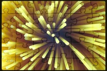 MARSU jigsaw puzzle