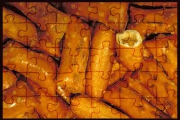 MARSU jigsaw puzzle