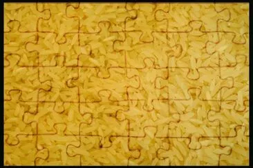 MARSU jigsaw puzzle