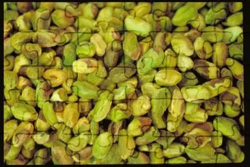 MARSU jigsaw puzzle