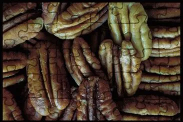 MARSU jigsaw puzzle
