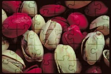 MARSU jigsaw puzzle