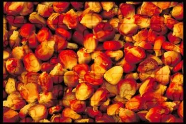 MARSU jigsaw puzzle
