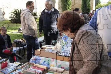 Buscando un libro